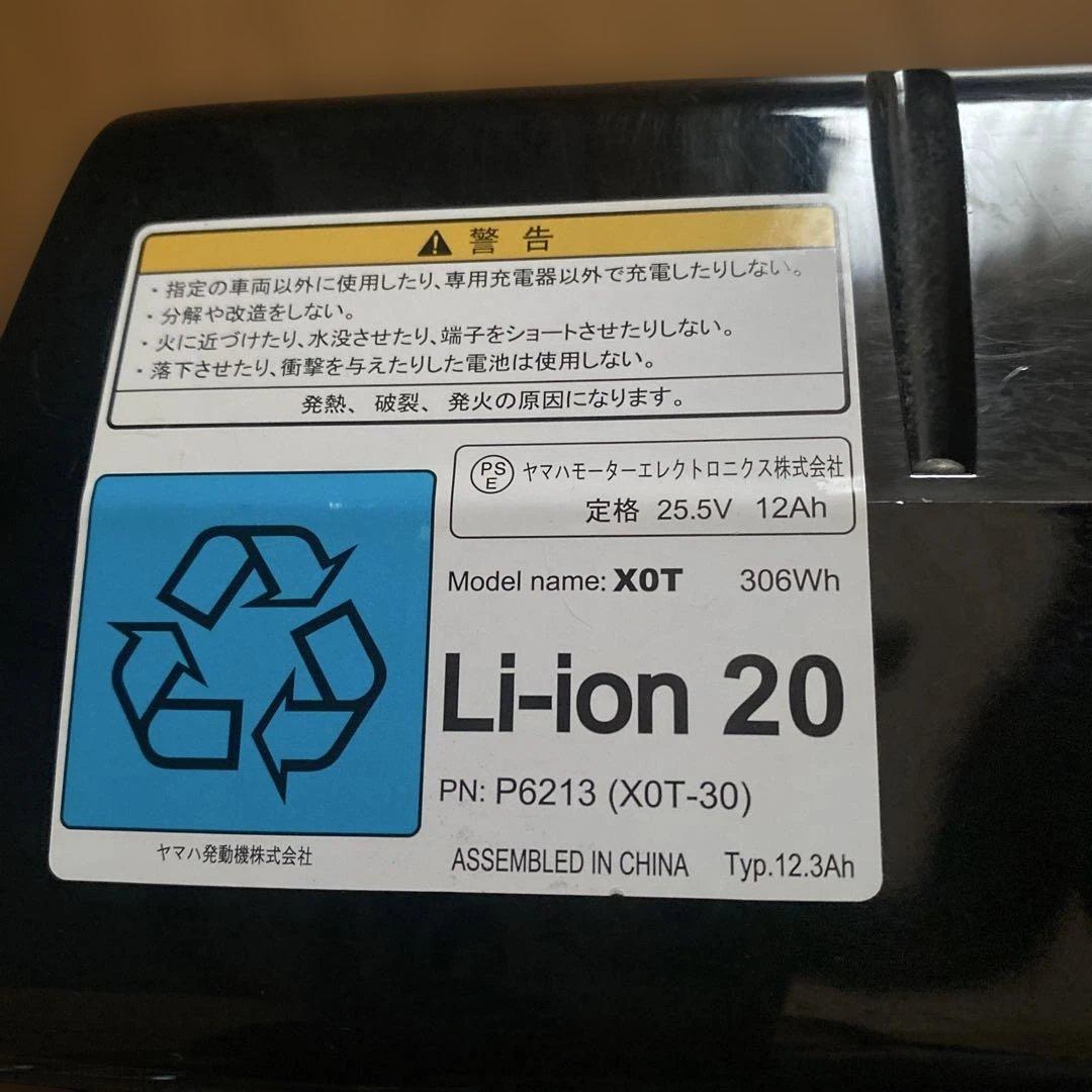 専用・送料込み・ルイガノ・電動アシスト自転車