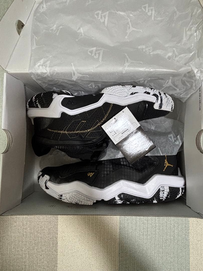 [美品]NIKE Jordan WHY NOT . PF26cm