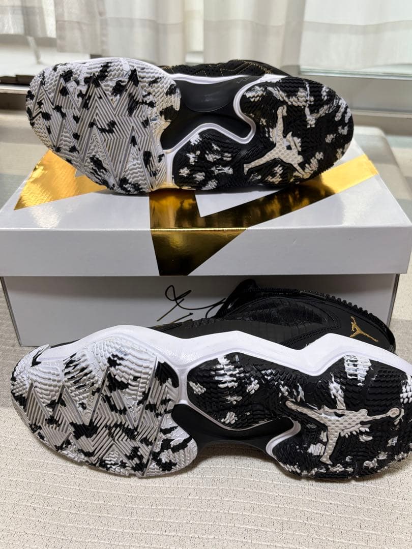 [美品]NIKE Jordan WHY NOT . PF26cm