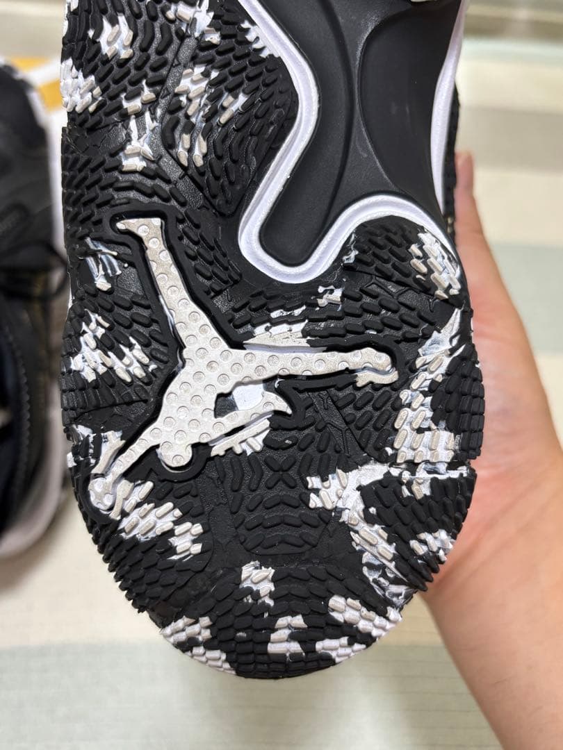 [美品]NIKE Jordan WHY NOT . PF26cm