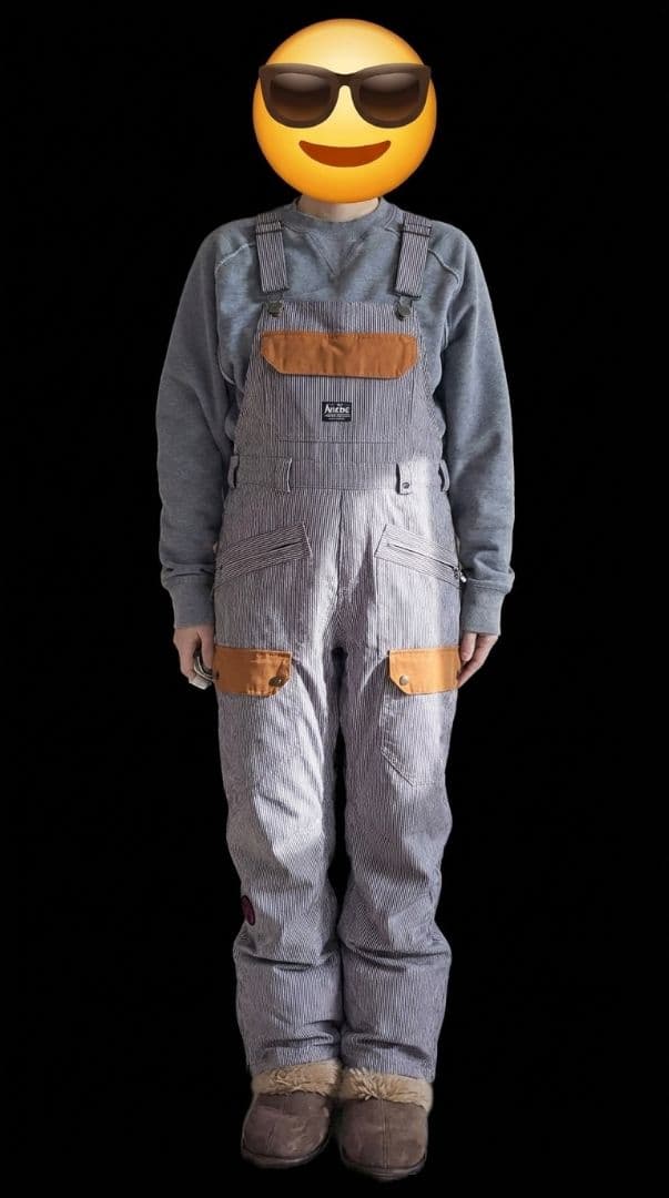 ANALOG (アナログ) ALDER OVERALL メンズスノーボードウェア