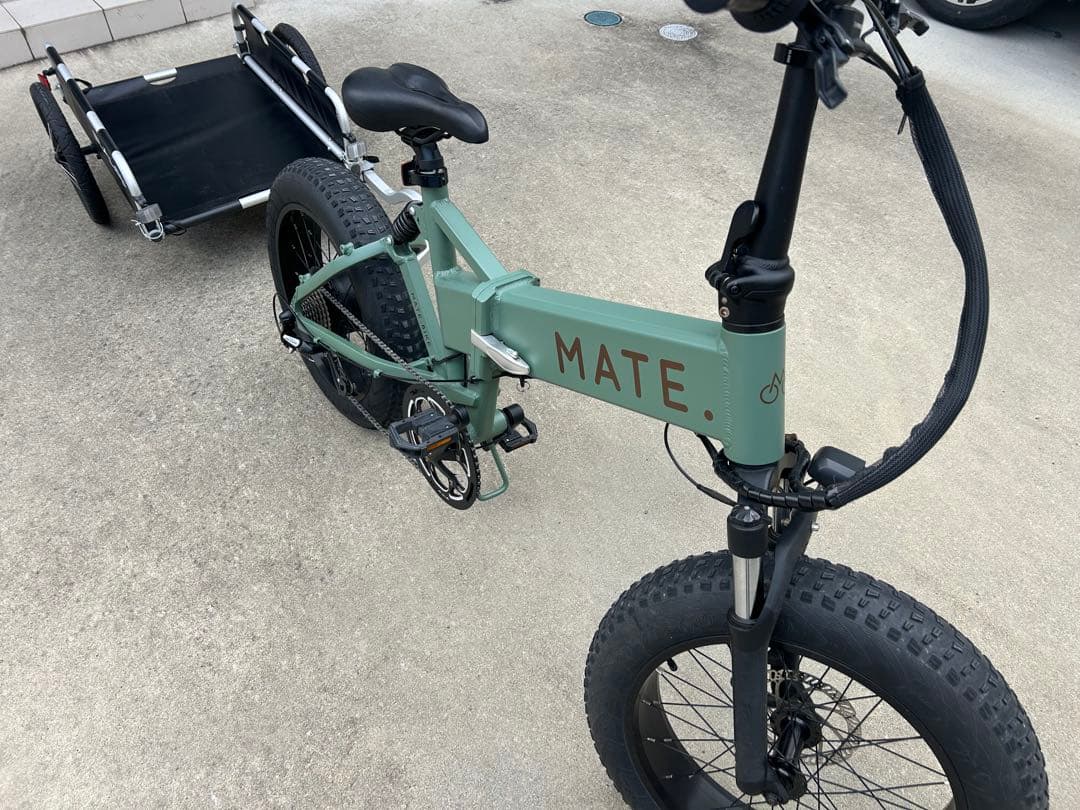 Burley Flatbed バーレー サイクルトレーラー
