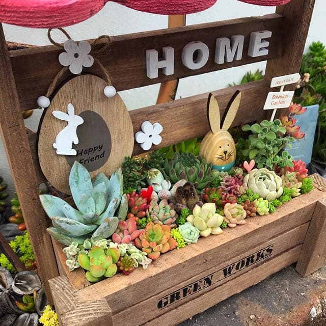 ★多肉植物　寄せ植え〜手作り　木製HOUSE ピンクお屋根のうさぎさん寄せ〜★