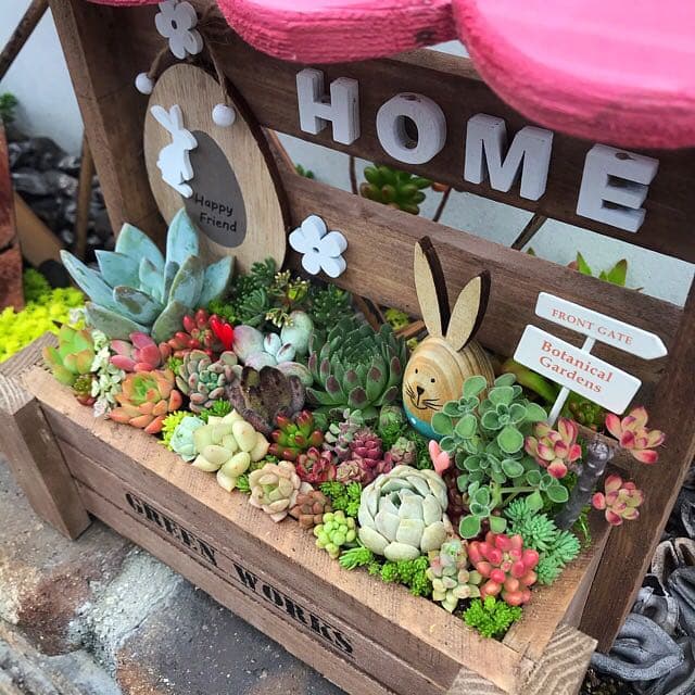 ★多肉植物　寄せ植え〜手作り　木製HOUSE ピンクお屋根のうさぎさん寄せ〜★