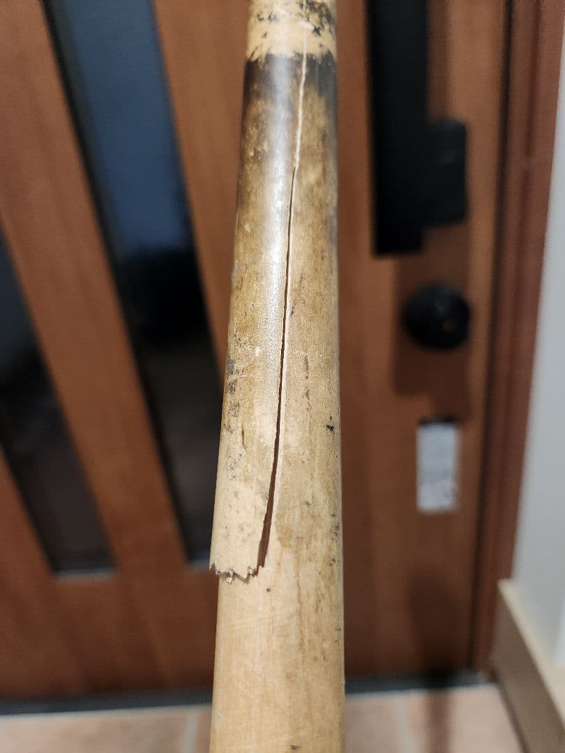 オリックス・バファローズ 頓宮 実使用バット