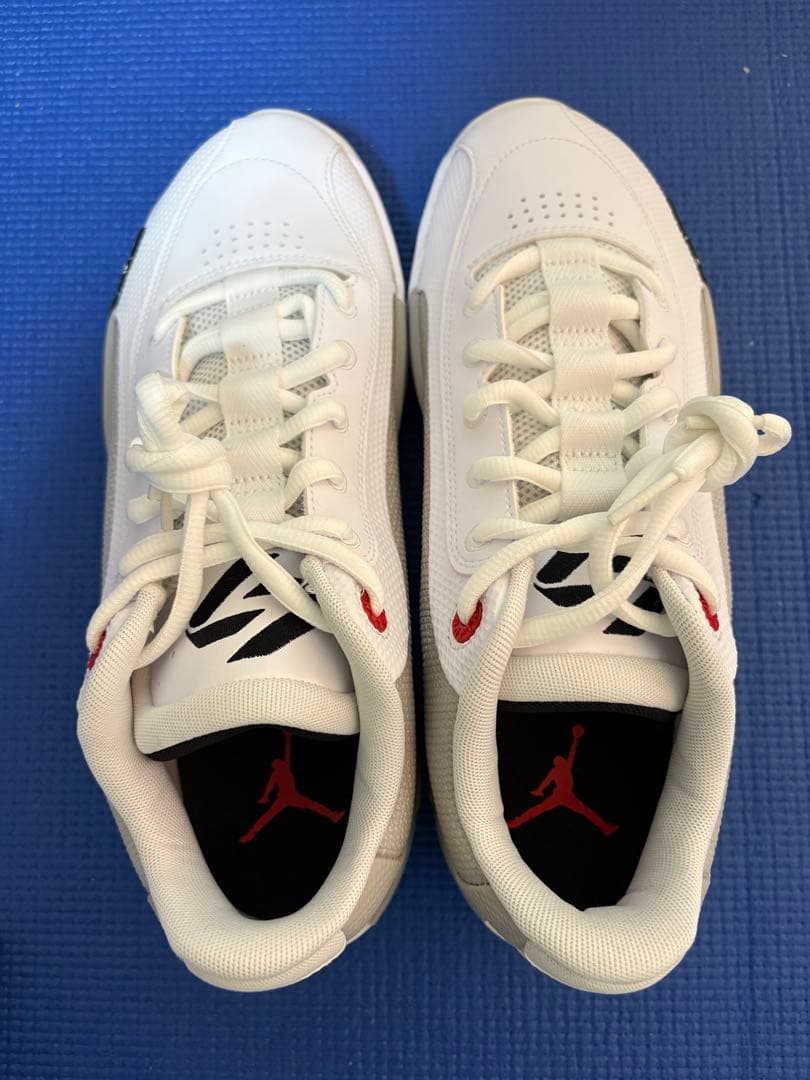 Jordan Zoom バスケットボールシューズ