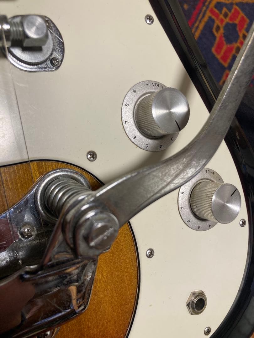 Teisco Spectrum 22 1967年以降 ビザール ビンテージ