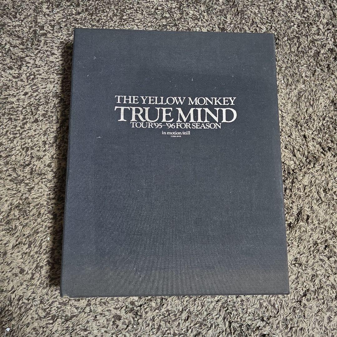 THE YELLOW MONKEY TRUE MIND 写真集