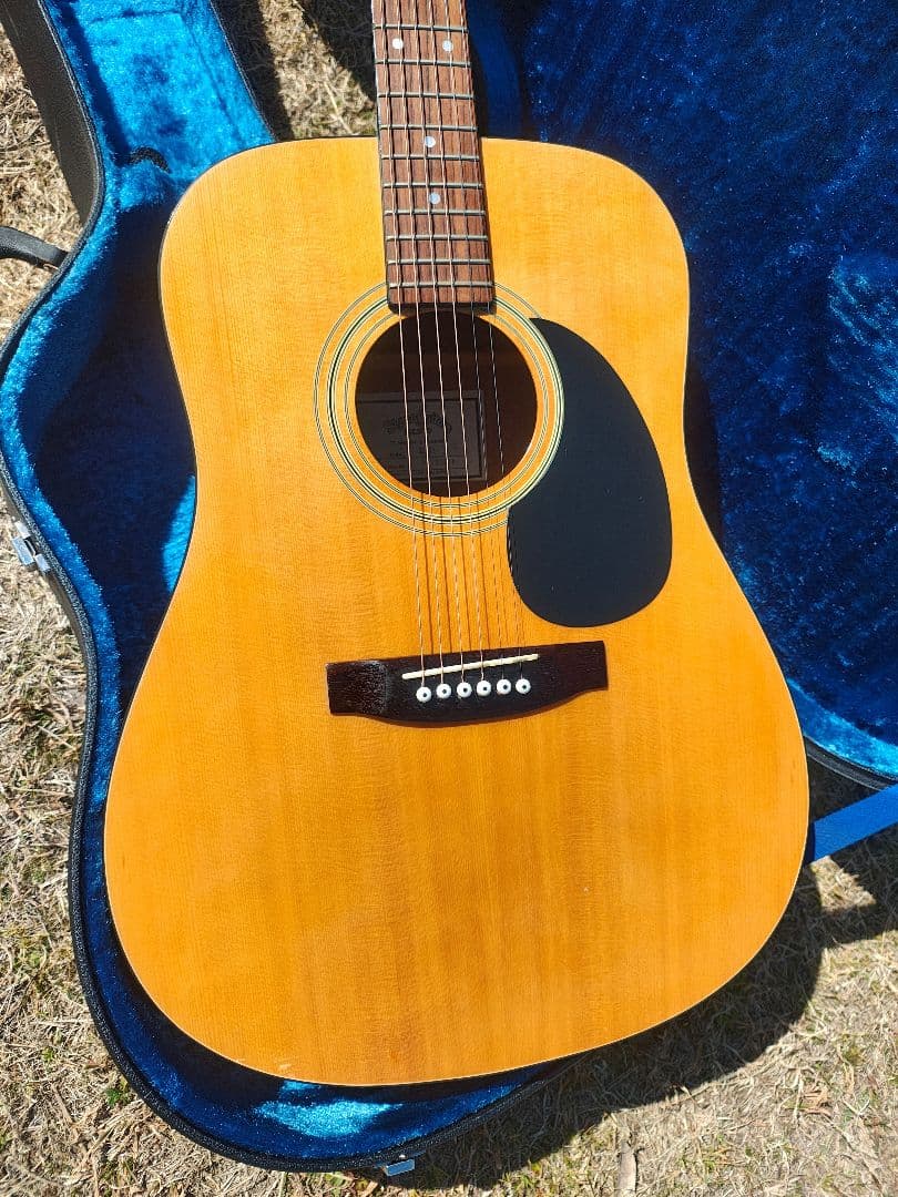 超美品 Sigma Guitars by Martin DM-1 HC付