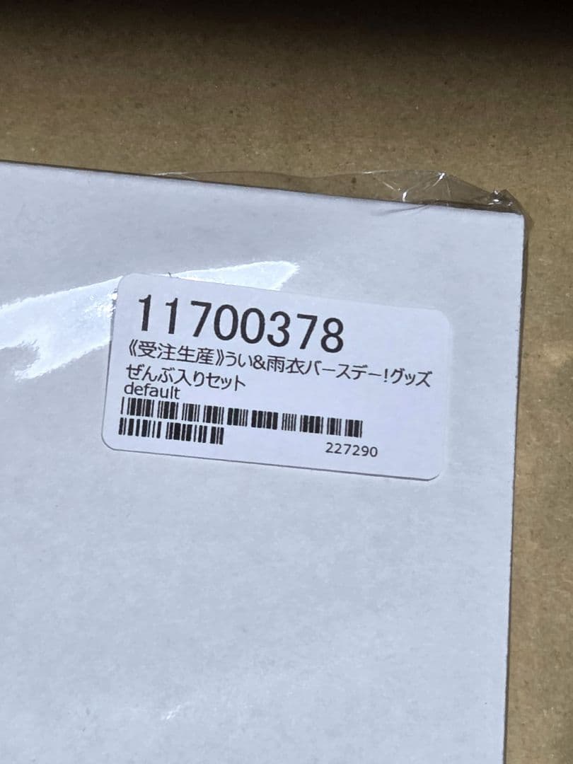 うい&雨衣バースデー！グッズぜんぶ入りセット　しぐれうい　VTuber