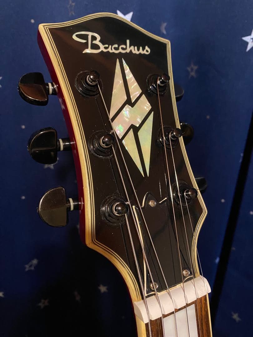 ギター Bacchus BSA800 (Duncan & PRS Pickups)