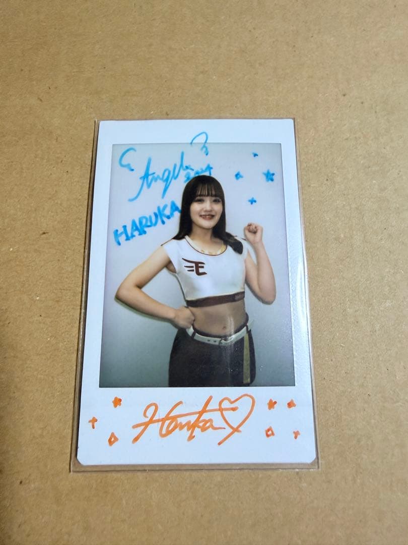 東北ゴールデンエンジェルス　BBMチェキ　HARUKA 2024 まとめ売り