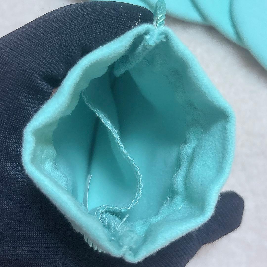 【未使用品】TIFFANY ティファニー　巾着　2サイズ 5点セット