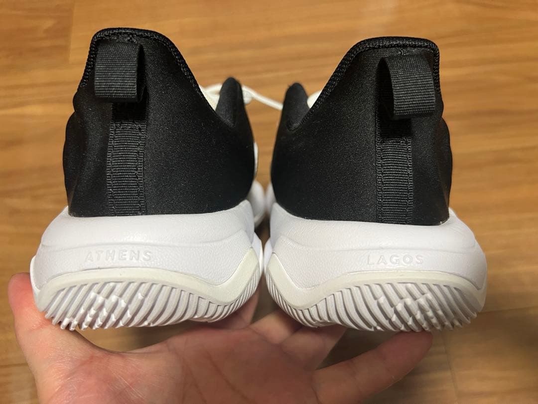 NIKE GIANNIS バスケットシューズ バッシュ23cm