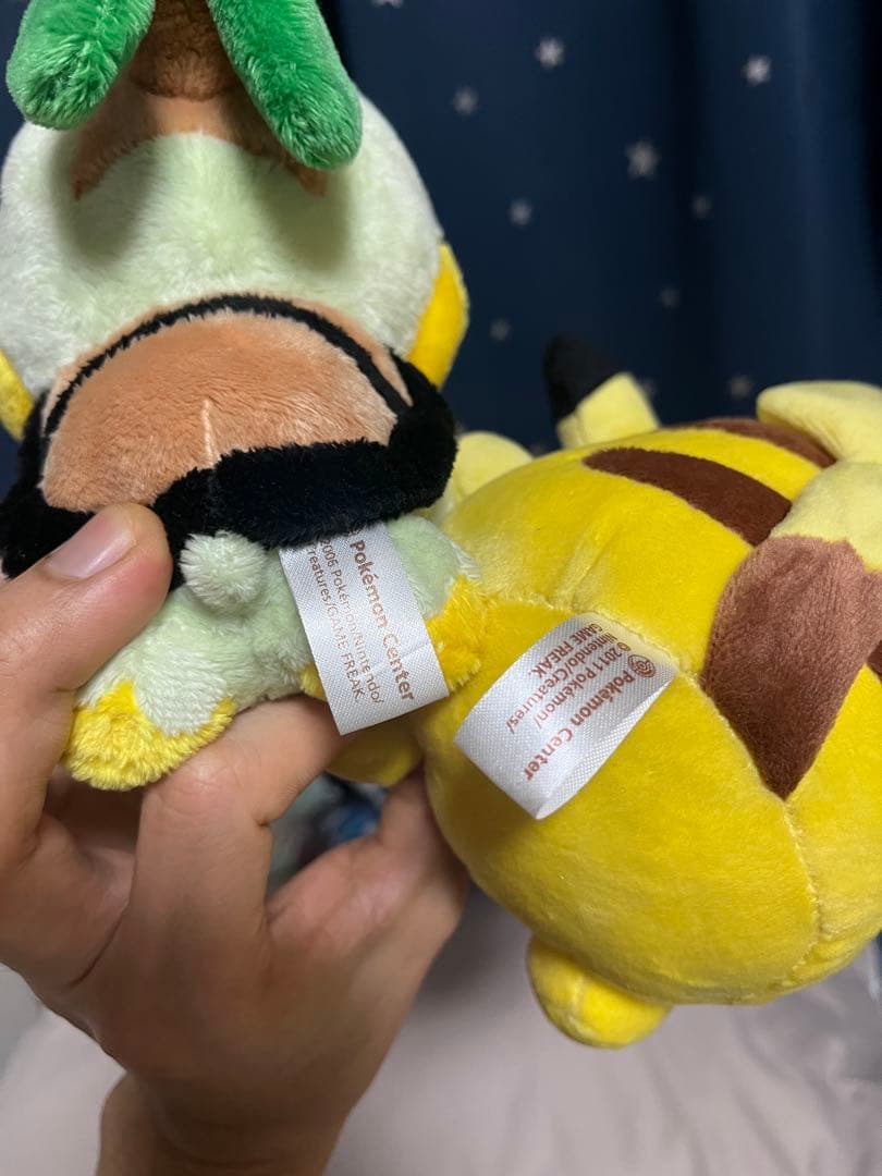 ポケモンぬいぐるみ　ポケドール　11本セット