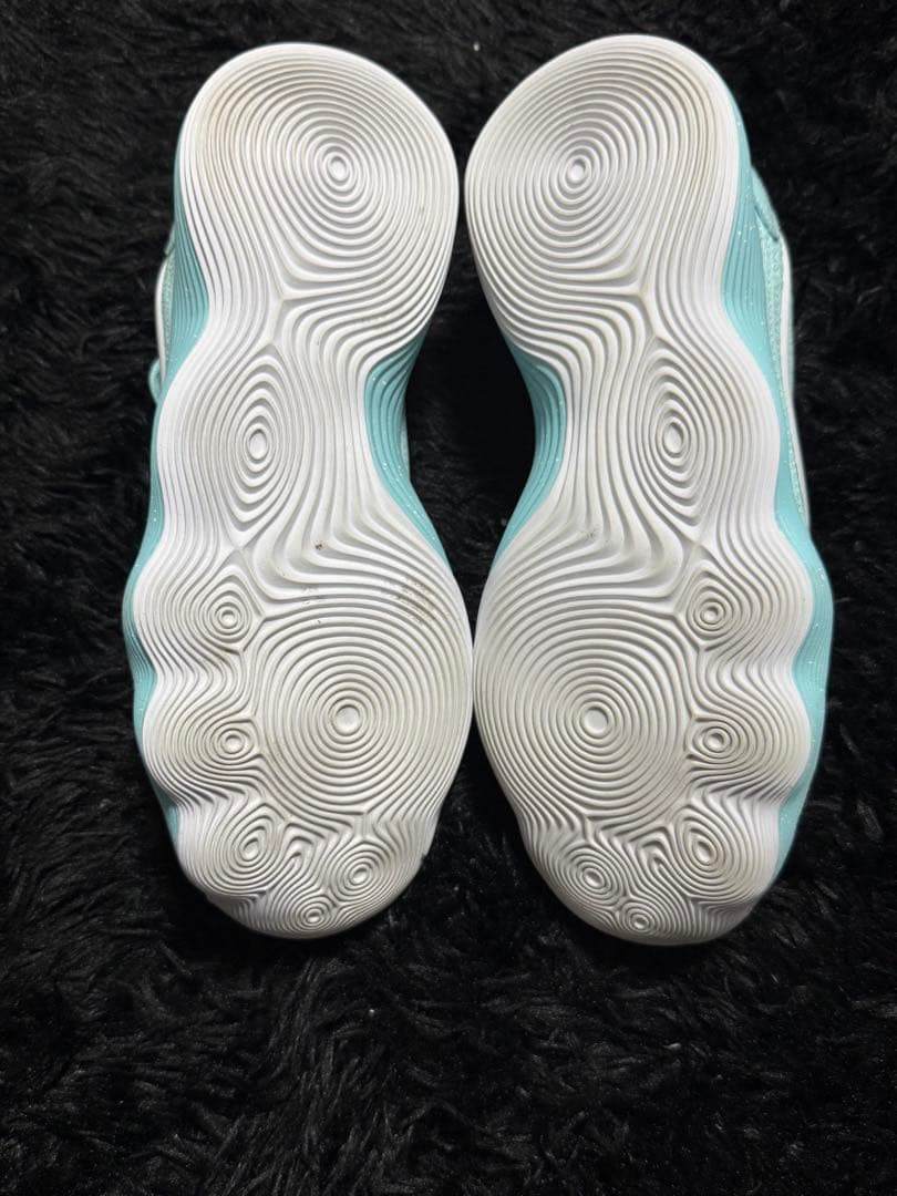 Nike ハイパーダンク2017 low Tiffany