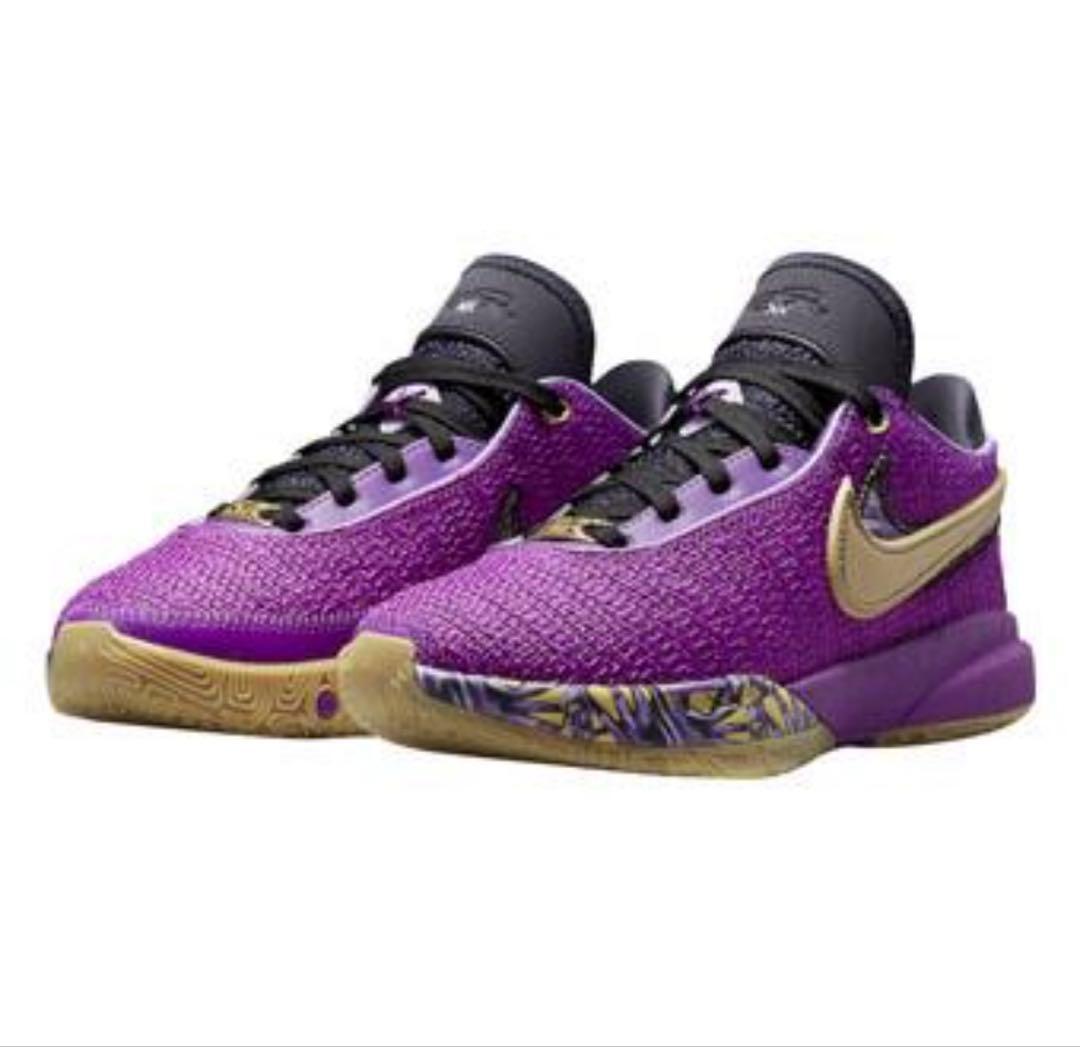 NIKE レブロン xx se gs
