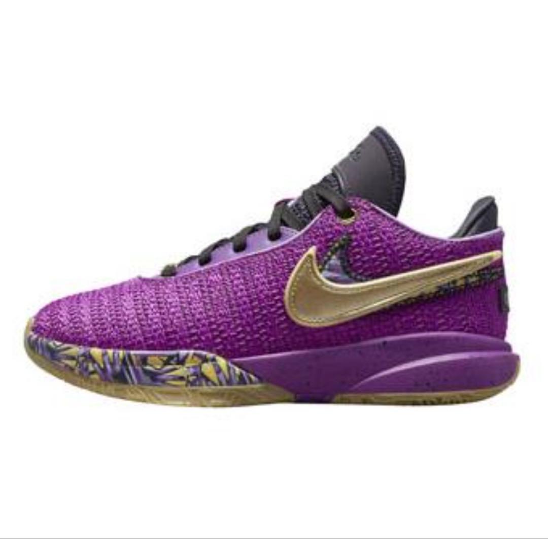 NIKE レブロン xx se gs