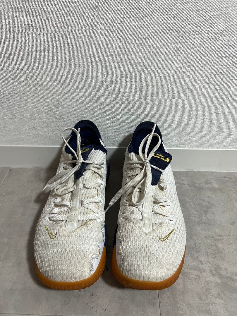 Nike LeBron16 Low \"Olympic\" バスケットボールシューズ