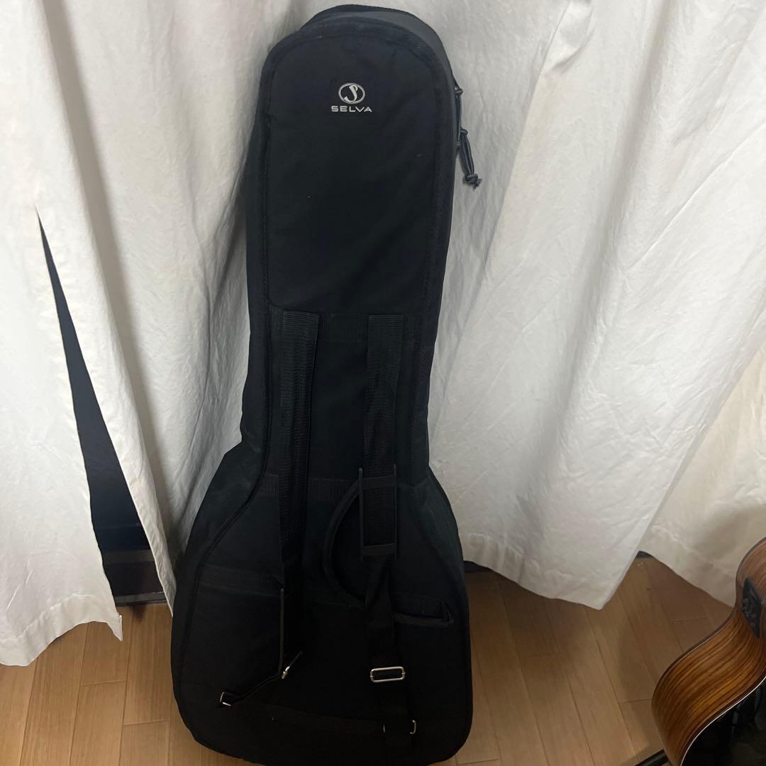 【ケース付き】Washburn エレアコギター