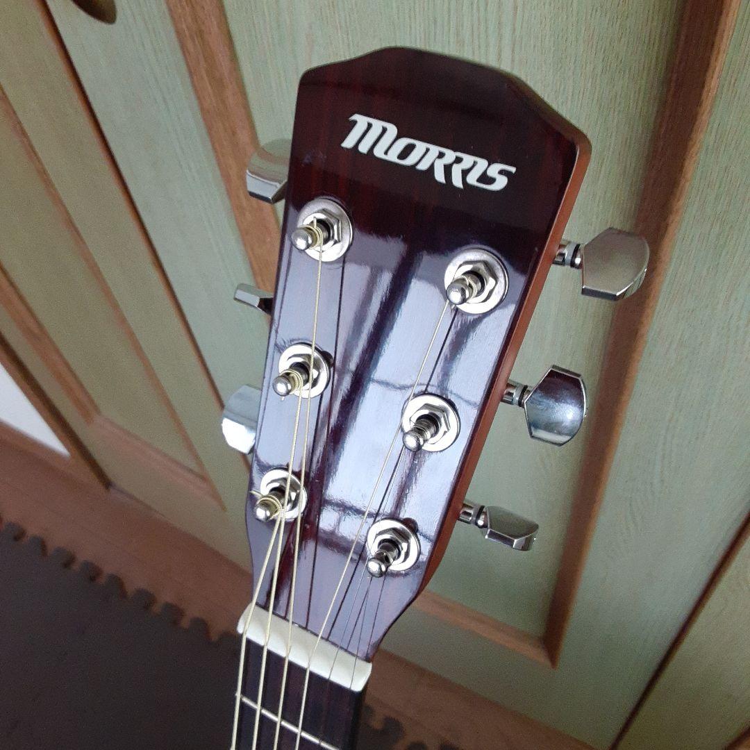 Morris F251 TSアコースティックギター　生産終了モデル