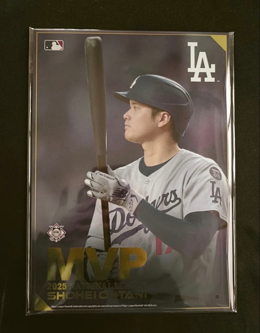 Shohei Ohtani 2025 MVP プレミアムフレーム