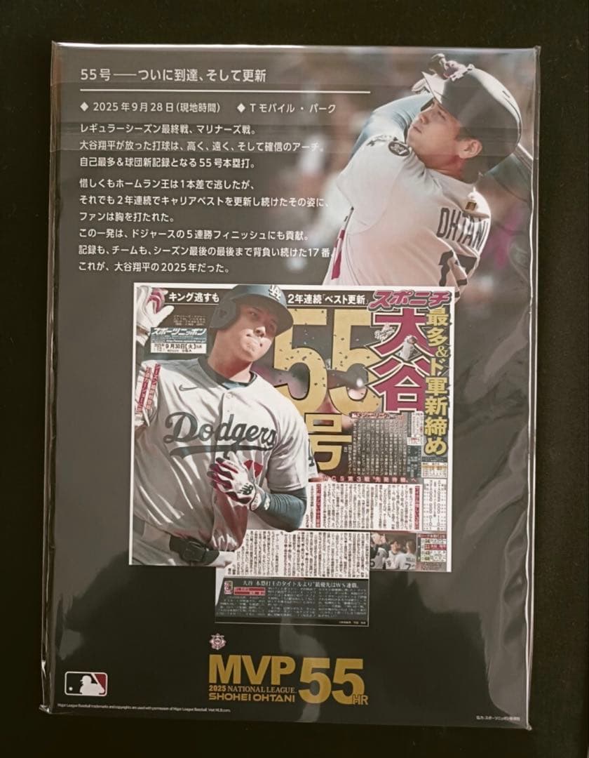 Shohei Ohtani 2025 MVP プレミアムフレーム