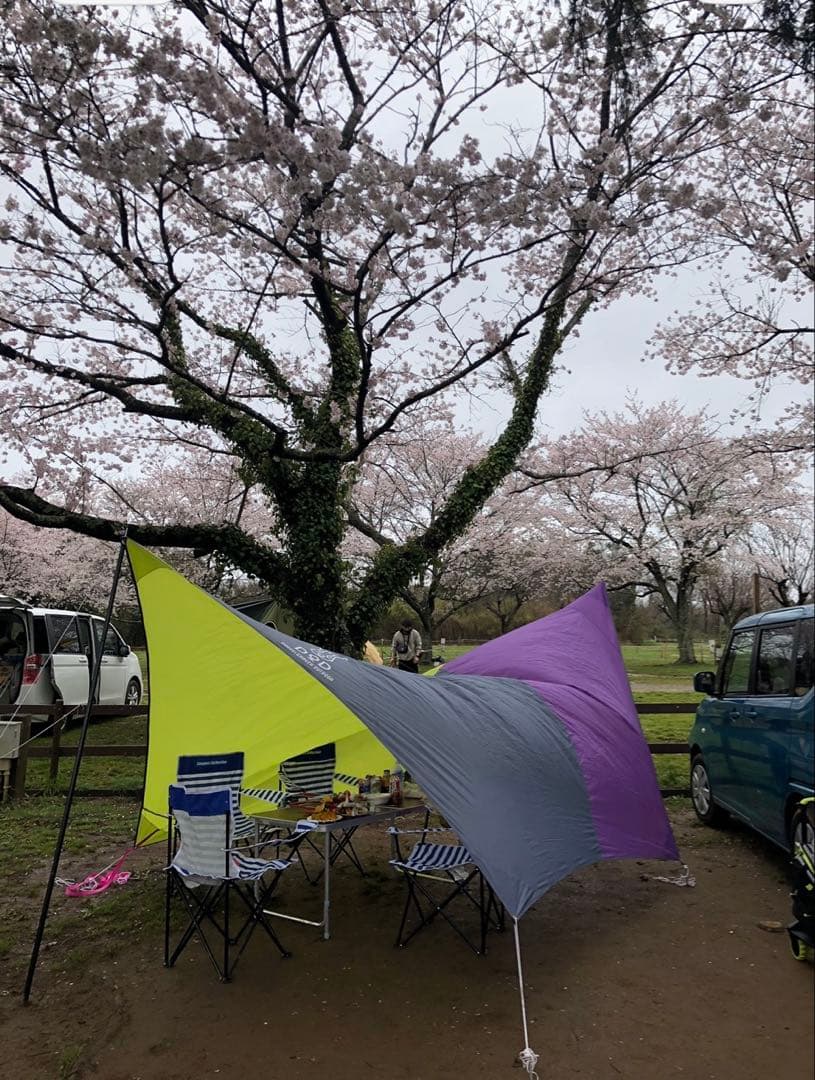 紫と緑の大型タープ