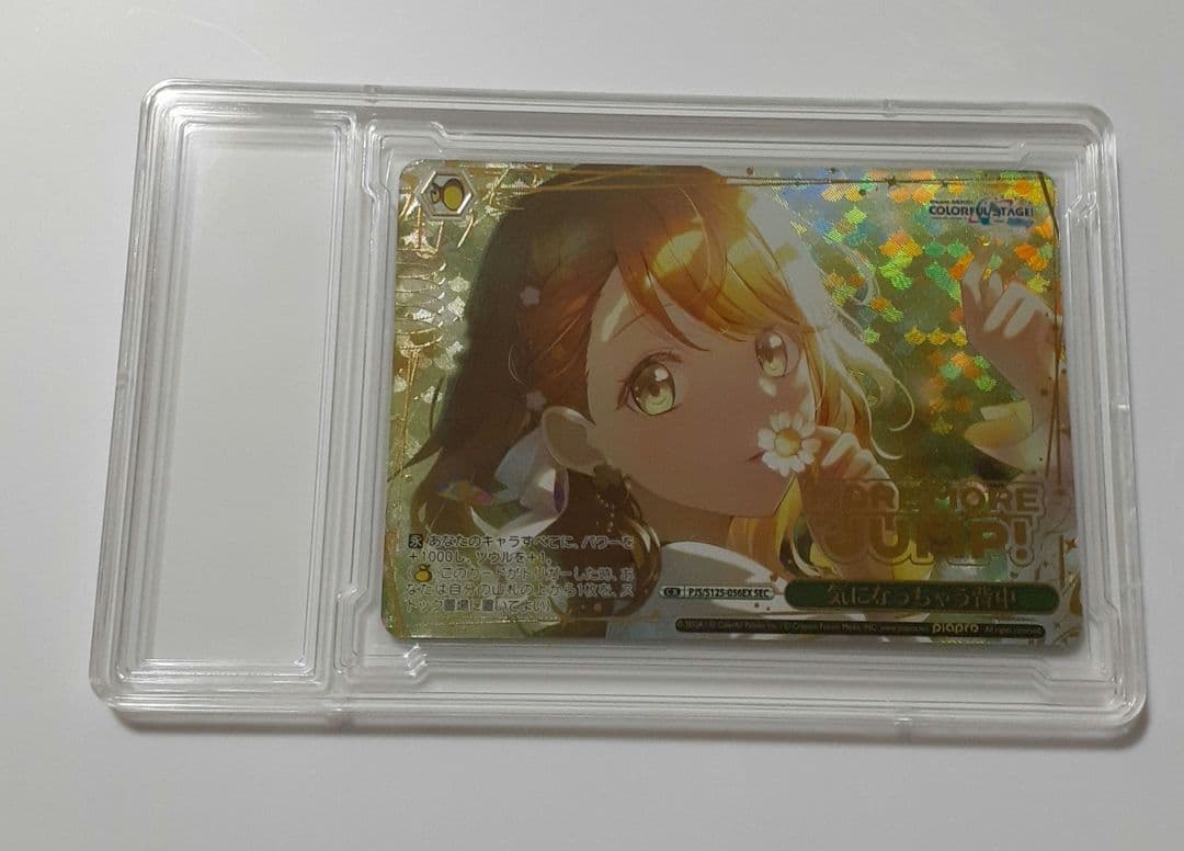 プロセカ ヴァイスシュヴァルツ SEC 花里みのり 【気になっちゃう背中】