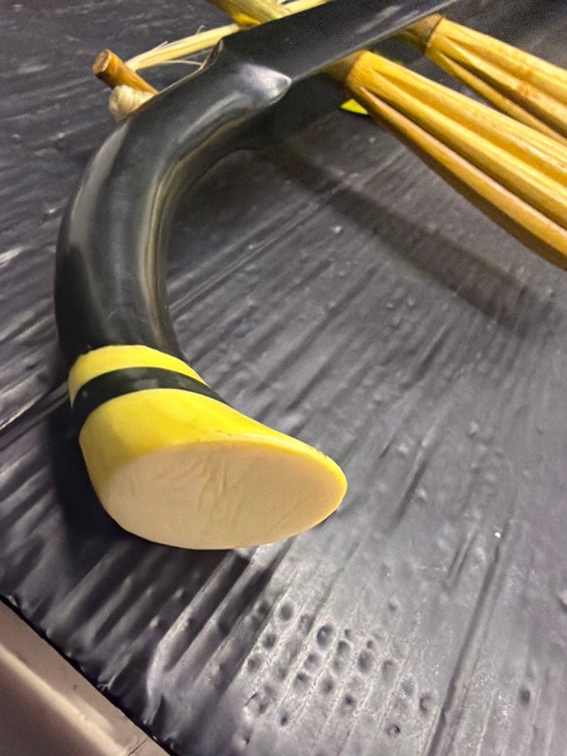 二胡 ヘビ革風装飾付き