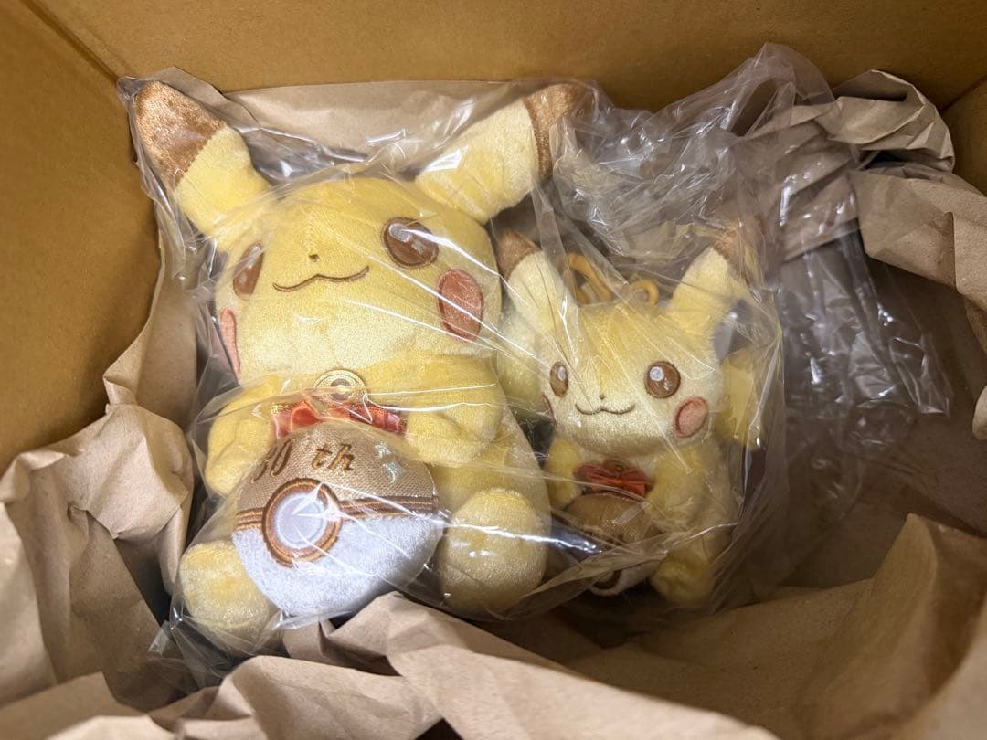 30周年 ピカピカピカチュウ 2点セット