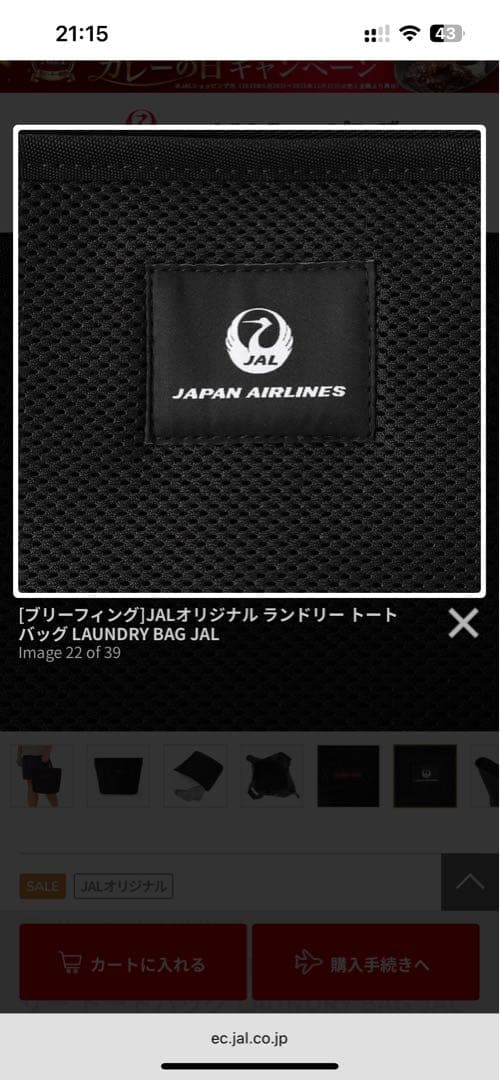 【新品】BRIEFING LAUNDRY BAG JAL ブラック