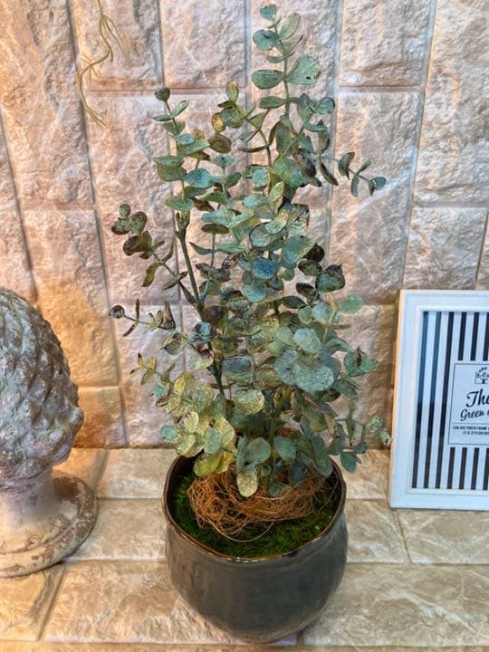 光触媒 人工観葉植物 ユーカリ3323