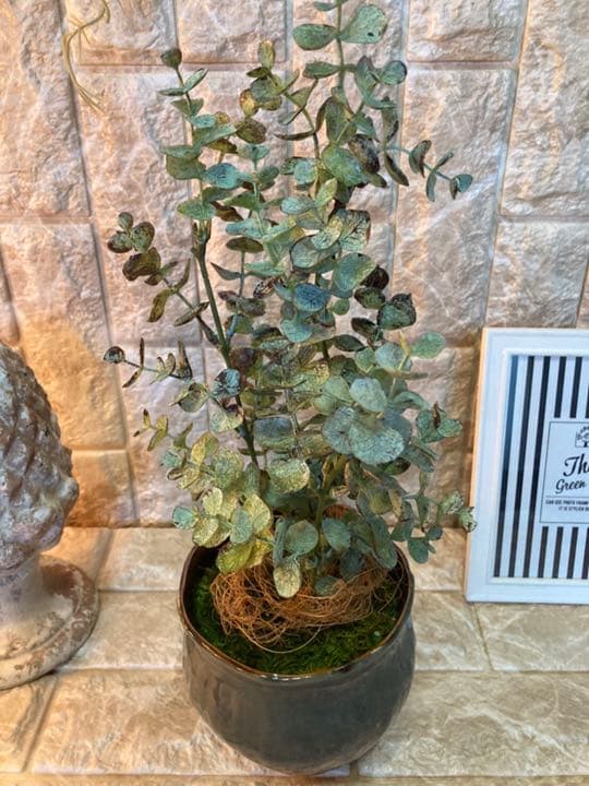 光触媒 人工観葉植物 ユーカリ3323