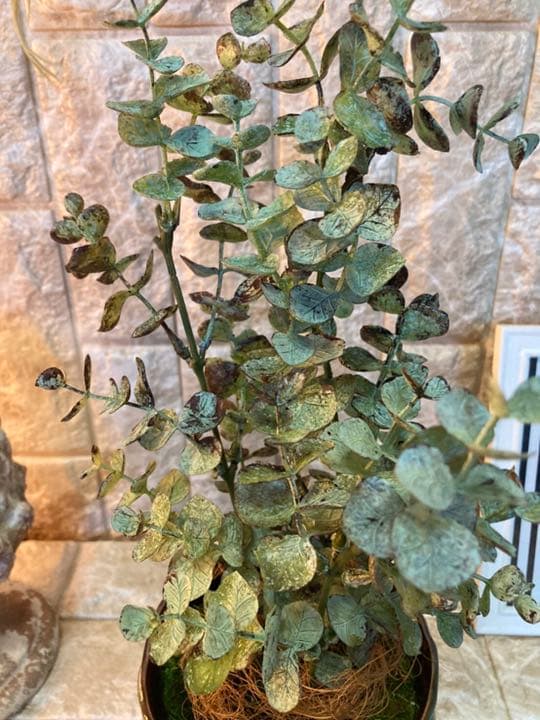 光触媒 人工観葉植物 ユーカリ3323