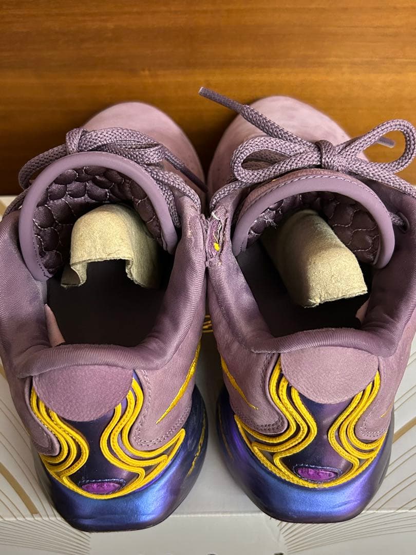 シューズ(男性用) lebron21 EP 29cm
