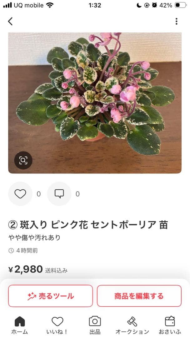 睡蓮 速達付き！写真の3点