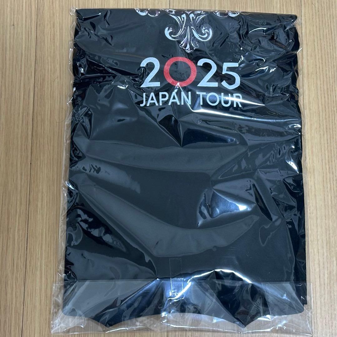 新品 MR.BIG 2025 ジャパンツアーTシャツ Mサイズ