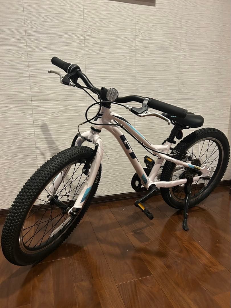 GT ストンパーエース　20インチ　子ども　マウンテンバイク
