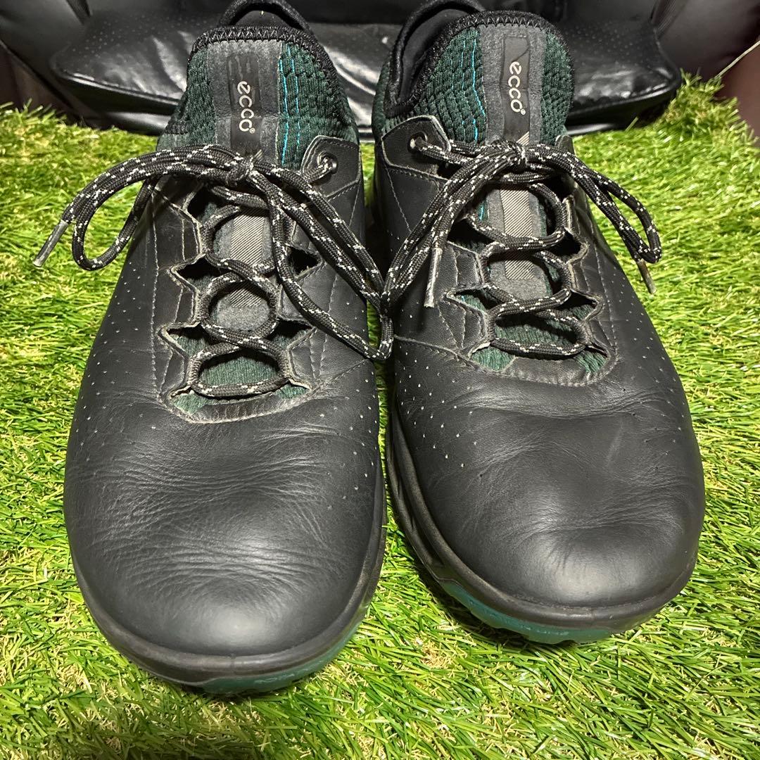 ECCO BIOM C4 サイズ42