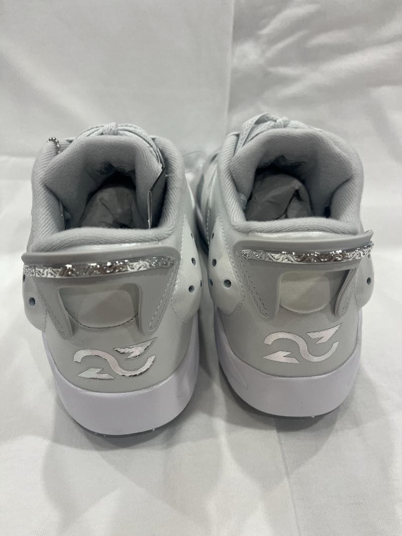 NIKE ゴルフ　ジョーダンレトロ6G NRG
