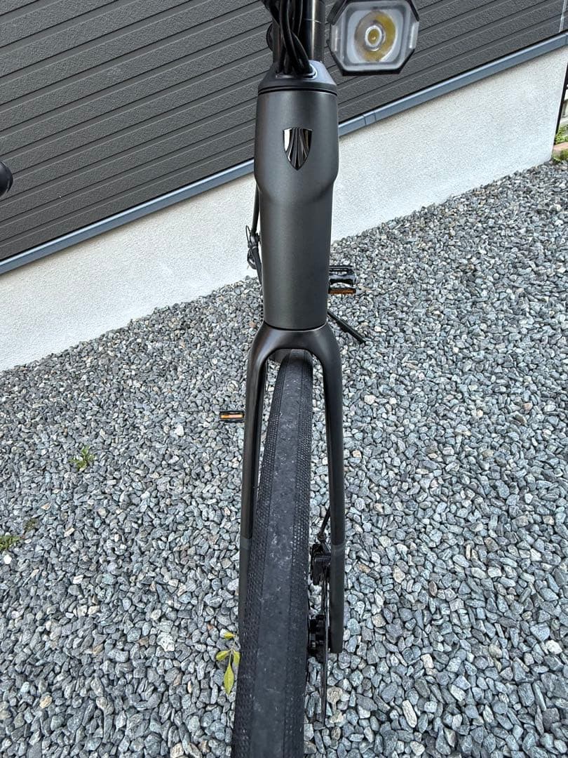 自転車本体 Domane AL 2 Gen 4