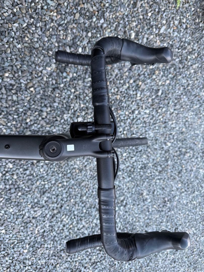 自転車本体 Domane AL 2 Gen 4