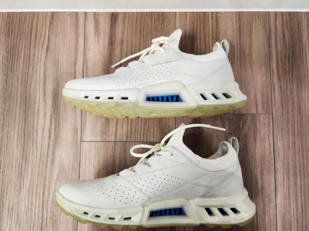 ecco BIOM C4 24.5センチ(39)