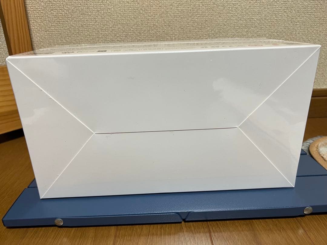 未開封・正規品　ラブブ Big into Energy アソートボックス 1箱