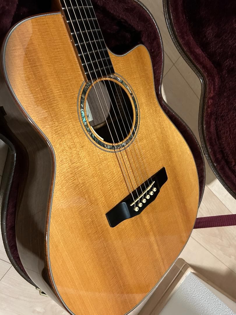 レア　名機　美音 Morris SS-101-III モーリス　エレアコ