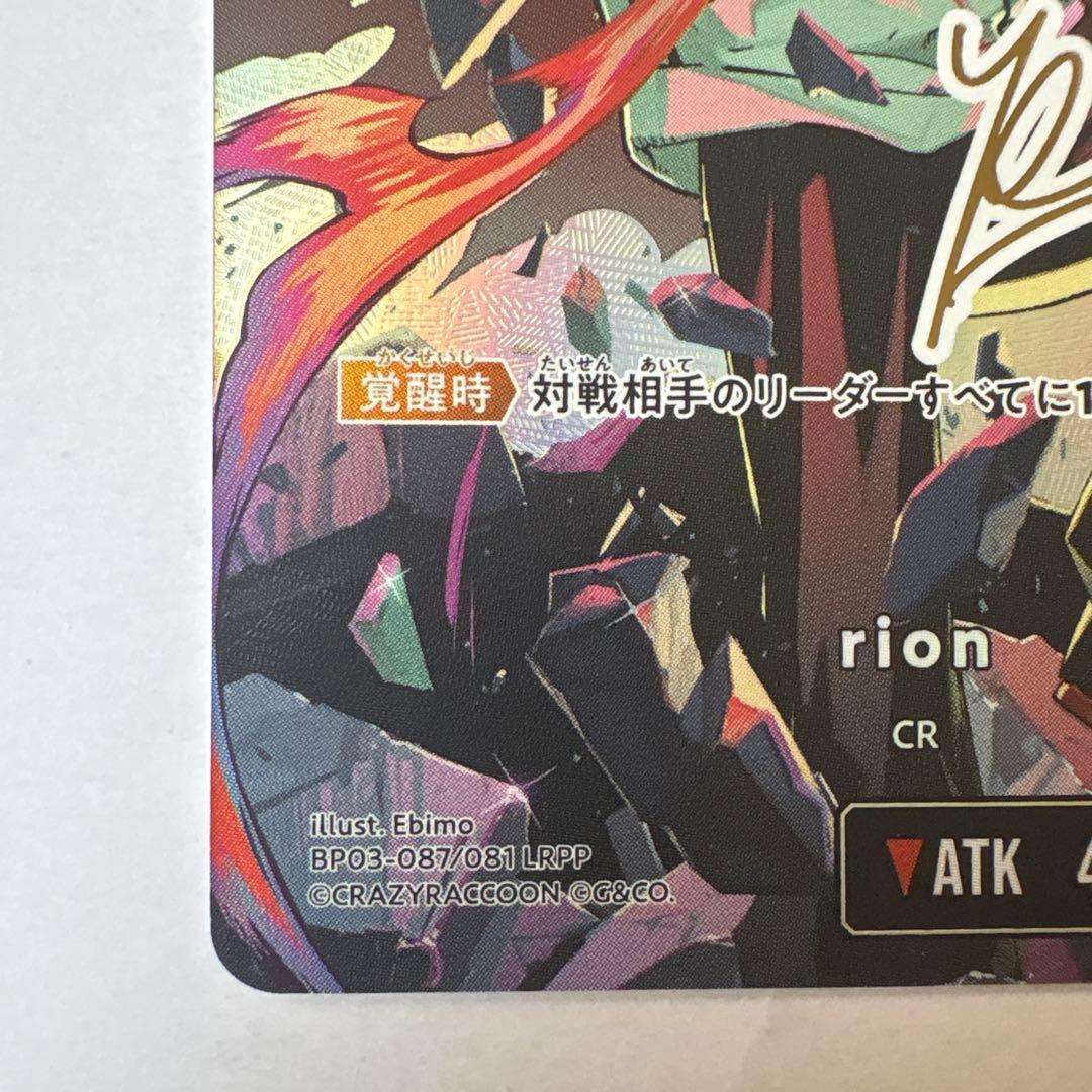 その他 rion LRPP