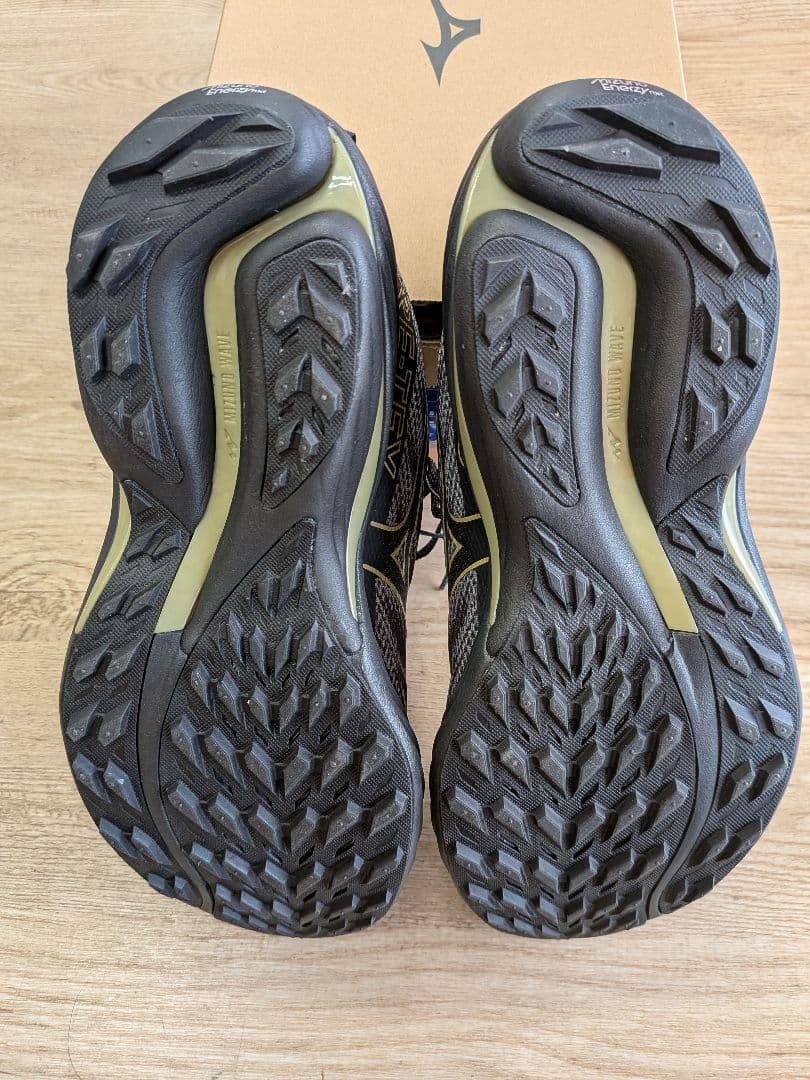 Mizuno WAVE RIDER　GTX 2 　トレイル対応　26cm　未使用