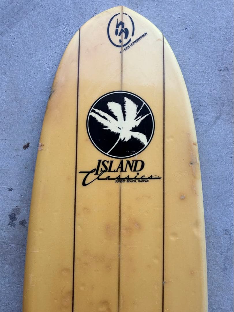 ロングボード Classics ハワイ　Hawaii 9'3\"