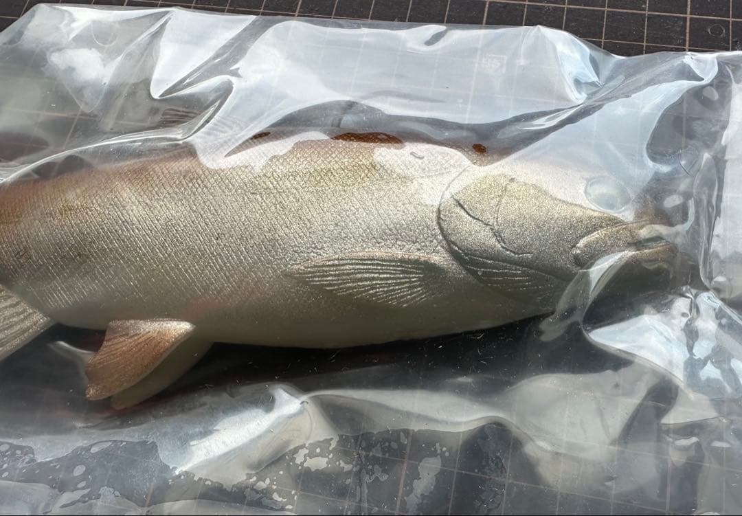 ハドルトラウト 8インチ ROF12 ハドルストン
